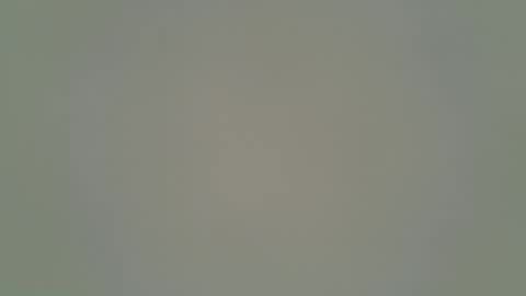 ANR Mommy online show from February 1, 2026, 5:11 pm