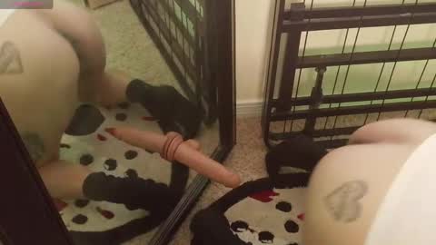 controllercutie online show from March 20, 2026, 11:09 pm