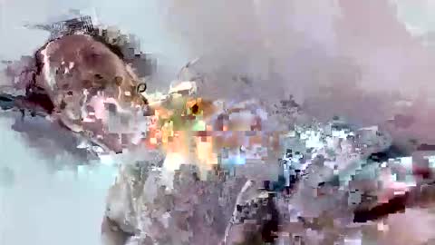 Mount N Drew online show from November 17, 2025, 7:08 pm