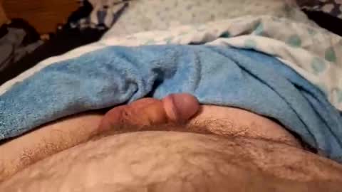 Harry 13 online show from February 28, 2026, 6:36 am