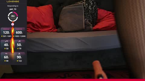 Snapshot of coolteacher chatting on February 7, 2025, 11:56 am Ginger The Cringer online show from February 7, 2025, 11:56 am