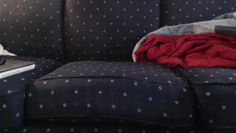 Snapshot of copper_crotch chatting on November 10, 2025, 12:09 am copper_crotch online show from November 10, 2025, 12:09 am