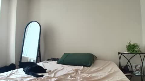 coriaddams online show from July 12, 2026, 5:37 pm