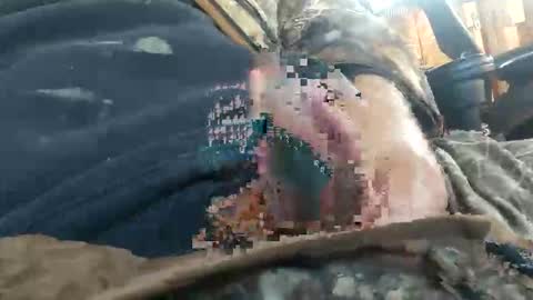 cornfed15c online show from November 23, 2025, 2:28 pm