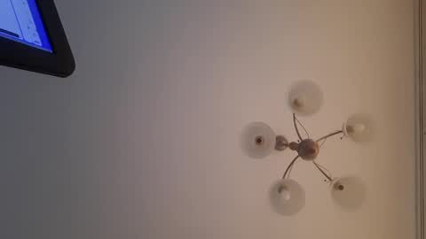 Snapshot of corvus4 chatting on December 30, 2024, 12:52 pm Corvus online show from December 30, 2024, 12:52 pm