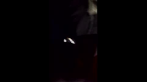 Snapshot of cory58596 chatting on February 14, 2026, 8:33 am cory58596 online show from February 14, 2026, 8:33 am