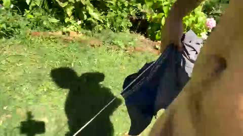 Countrydilf online show from January 6, 2025, 2:25 pm