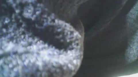 Snapshot of cplmature87 chatting on February 20, 2025, 11:10 pm cplmature87 online show from February 20, 2025, 11:10 pm