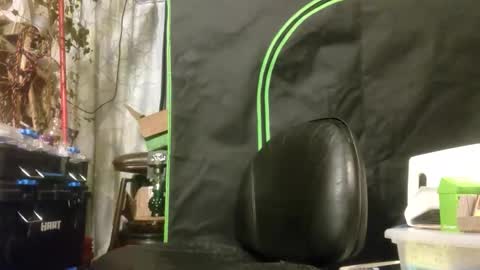 crackback_kyd online show from February 14, 2026, 12:02 pm