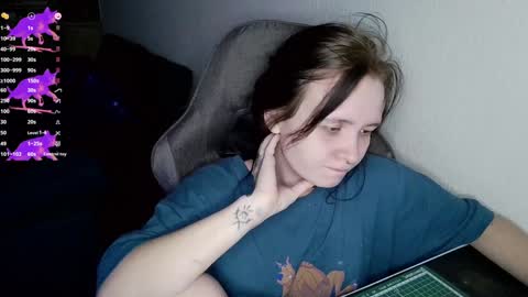 crash_test13 online show from December 21, 2024, 10:30 pm