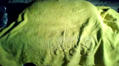 crave_me_ online show from November 20, 2025, 1:50 am