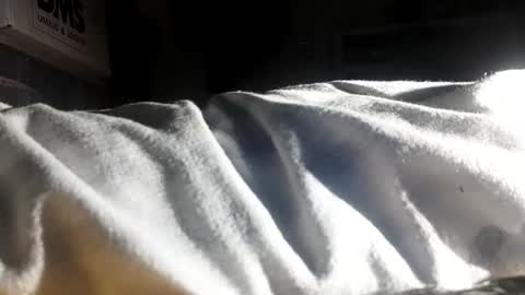 crave_me_ online show from November 30, 2025, 6:28 am