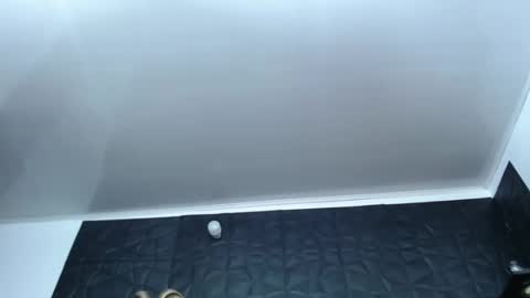 Snapshot of cristal_smith06 chatting on December 17, 2024, 10:12 am Hanna online show from December 17, 2024, 10:12 am