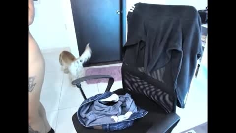 Snapshot of cristinasweet7 chatting on November 30, 2025, 3:32 am cristinasweet7 online show from November 30, 2025, 3:32 am