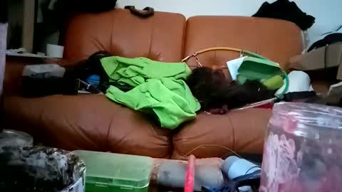 Snapshot of crystelweed chatting on November 9, 2025, 8:56 am crystelweed online show from November 9, 2025, 8:56 am