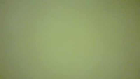 ctbddc online show from February 16, 2025, 9:04 am