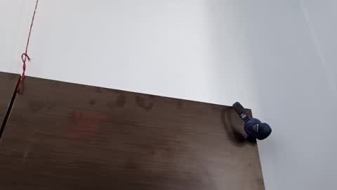 cuddlemuffins online show from March 8, 2026, 5:00 am