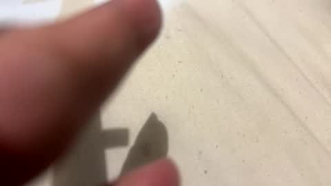 im KIM new girl to spoil online show from October 21, 2025, 2:51 pm