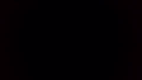 Breeding Bull USA online show from February 3, 2026, 9:36 am