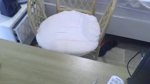 cumtowa online show from October 7, 2025, 5:04 am