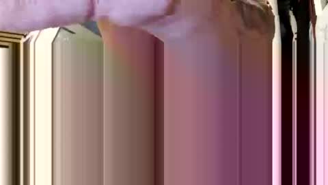 Aprilia online show from February 5, 2026, 8:41 am