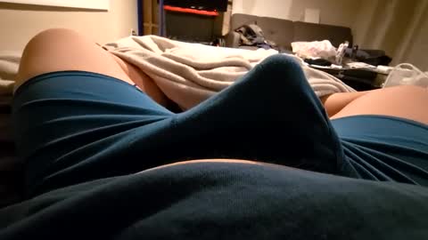 cumvet online show from December 12, 2024, 11:36 pm