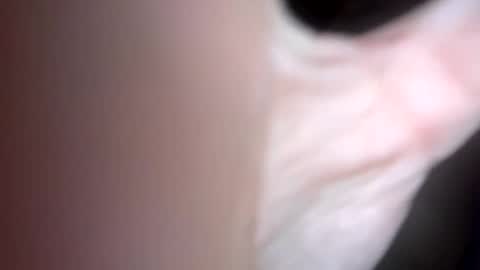 Snapshot of curvy24777 chatting on February 1, 2025, 6:10 am curvy24777 online show from February 1, 2025, 6:10 am