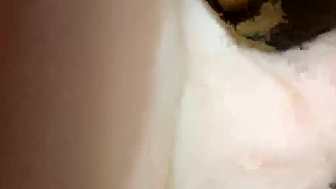 Snapshot of curvy24777 chatting on February 15, 2025, 7:06 pm curvy24777 online show from February 15, 2025, 7:06 pm