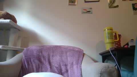 Snapshot of curvycate127 chatting on January 21, 2025, 9:25 pm Cate online show from January 21, 2025, 9:25 pm