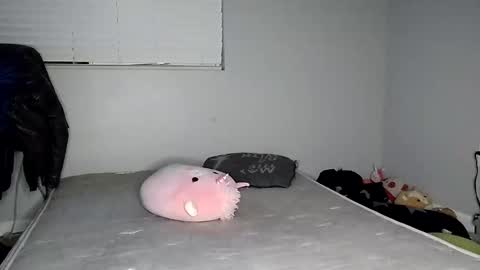 Lucifina ganja kittens online show from December 20, 2024, 4:42 am