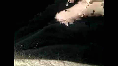 Snapshot of cutcockguy1975 chatting on February 11, 2025, 5:50 pm Steve online show from February 11, 2025, 5:50 pm