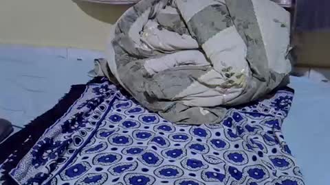 cuttepappy online show from June 15, 2026, 8:22 pm