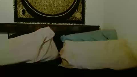 Snapshot of d_a_i_s_y chatting on December 1, 2025, 5:29 pm Daisy online show from December 1, 2025, 5:29 pm