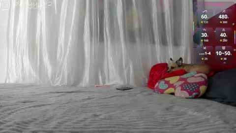 daani_hott online show from January 9, 2026, 4:15 am