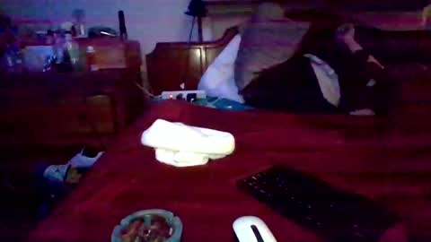 dabangaz4life online show from December 22, 2024, 9:33 am