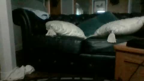 Snapshot of dadddyslilslxtxx chatting on September 17, 2025, 3:08 am cumslutangel online show from September 17, 2025, 3:08 am