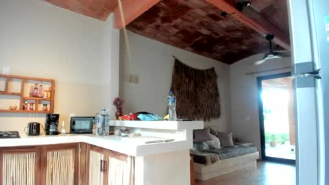 Snapshot of daddy_daycare_ chatting on March 11, 2025, 1:45 pm Belle Email daddydaycarecb online show from March 11, 2025, 1:45 pm