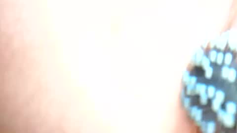 daddydigbick87 online show from October 29, 2025, 8:16 am