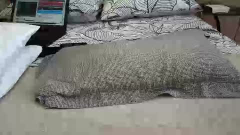 daddyslittleebony online show from April 12, 2026, 11:26 am