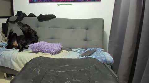 Snapshot of dahianna_27 chatting on January 17, 2025, 8:45 am dahianna_27 online show from January 17, 2025, 8:45 am