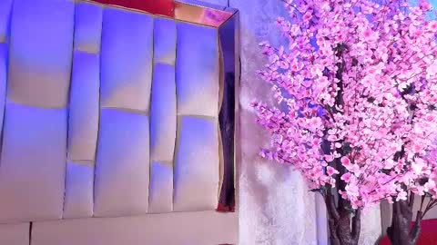 Dakota online show from March 28, 2026, 4:23 am