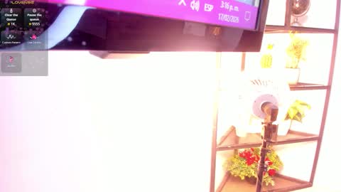 Sammy online show from February 17, 2026, 8:15 pm