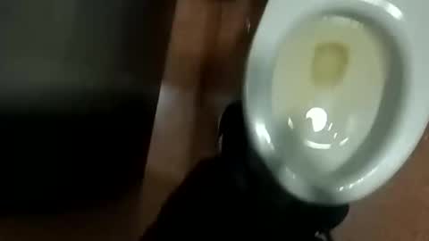 Snapshot of damian950 chatting on April 12, 2026, 1:43 am damian950 online show from April 12, 2026, 1:43 am