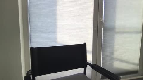 dan295899 online show from March 23, 2026, 7:56 am