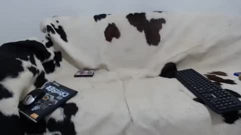 dan_jonson15 online show from November 27, 2025, 6:43 pm