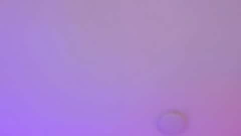 Dana online show from July 14, 2026, 3:55 am