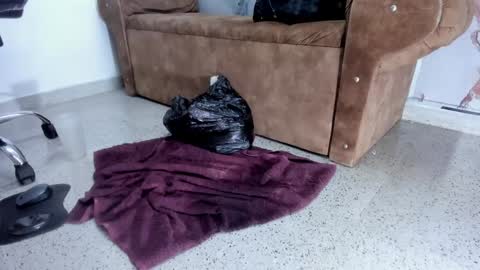 Snapshot of danaarey chatting on February 5, 2025, 2:26 pm Danaa Rey online show from February 5, 2025, 2:26 pm