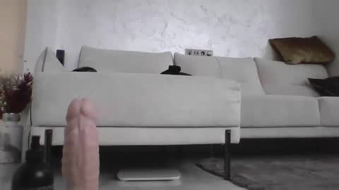 Snapshot of danani999 chatting on January 15, 2025, 9:13 am Dan online show from January 15, 2025, 9:13 am