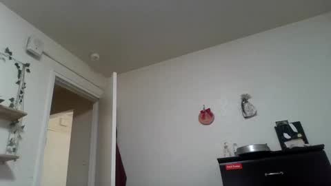 Dani online show from February 24, 2025, 1:53 pm