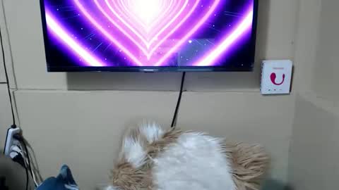 Danica online show from December 15, 2025, 3:44 am